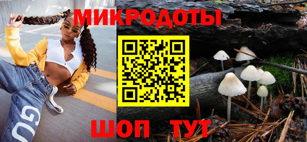 Псилоцибиновые грибы Psilocybe  Вход с VPN  Зеленогорск 