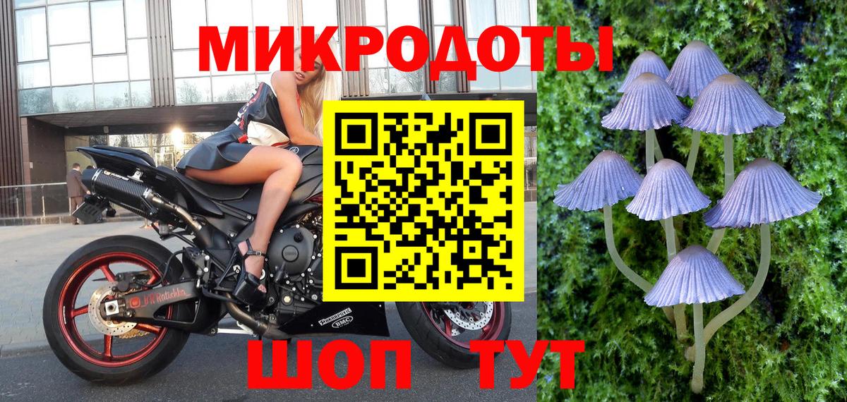 Псилоцибиновые грибы MAGIC MUSHROOMS Зеленогорск